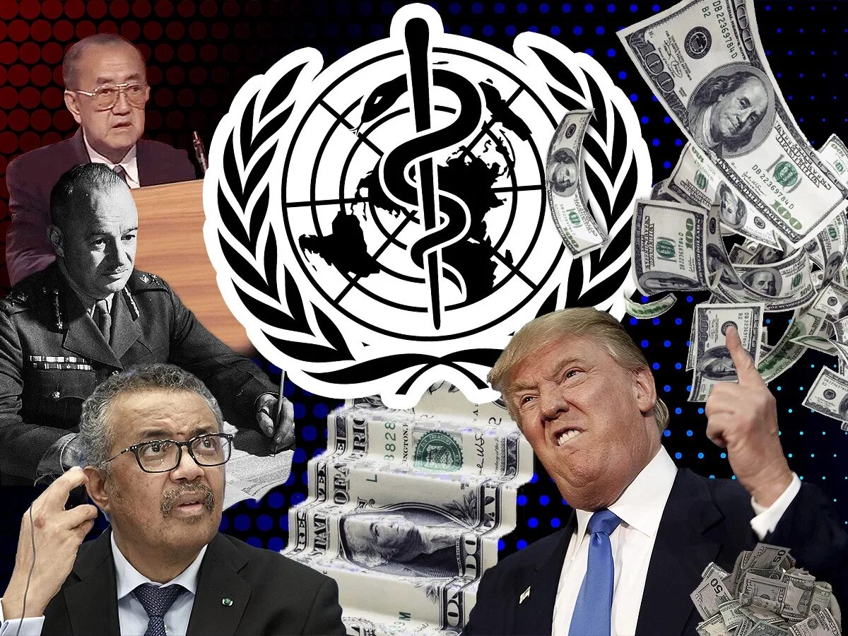 Главные лица воз. Лица воз. Мелисса вуйнович. Толстая министр здравоохранения бельгии. Маргарет чан.