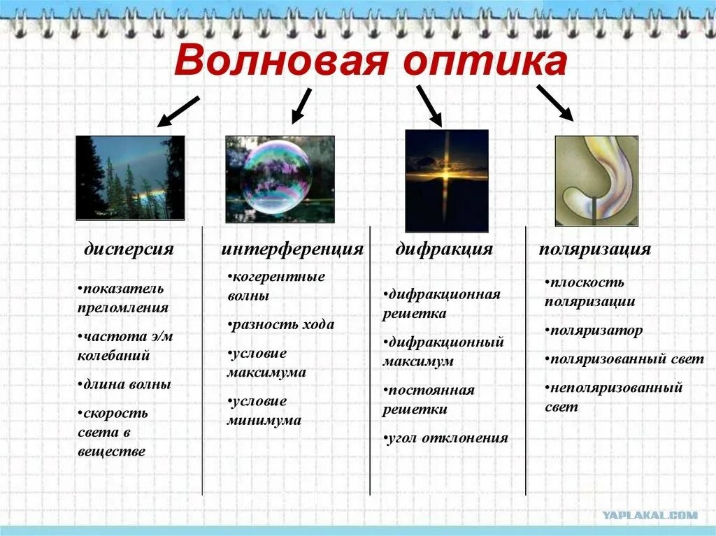 Какие явления объясняет оптика