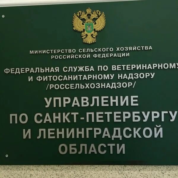 Управление россельхознадзора санкт петербург. Россельхознадзор по алтайскому краю. Россельхознадзор спб. Северо-западное управление россельхознадзора. Южное межрегиональное управление россельхознадзора краснодар.