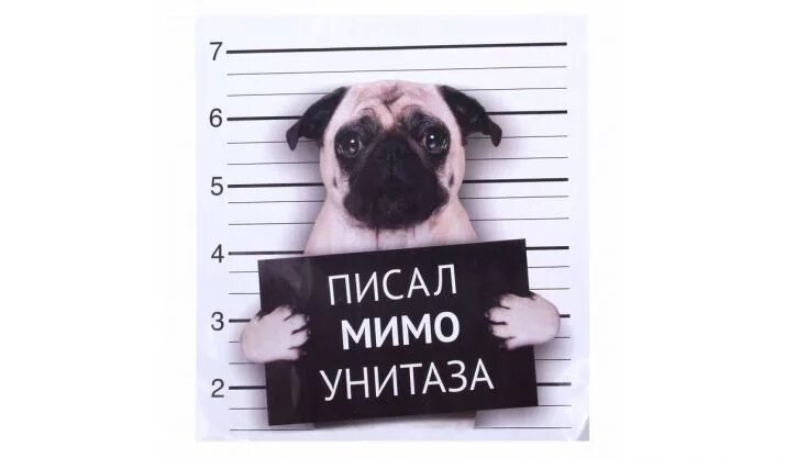 Объяснить мимо. Мочиться мимо унитаза. наклейка писал мимо унитаза. писать мимо. писал мимо унитаза картинка.