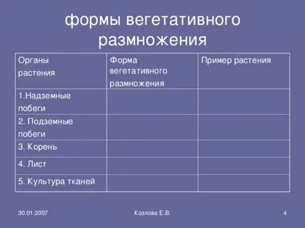 Культура тканей вегетативное размножение
