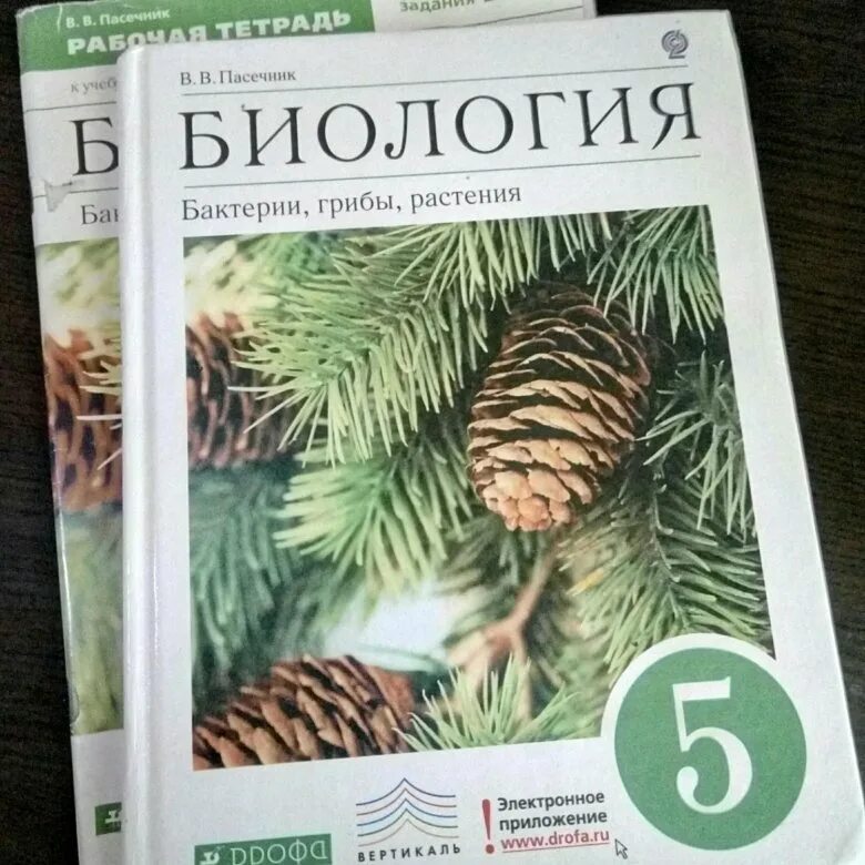 Пасечник 5 класс купить. Биология 5 класс Пасечник. Биология. 5 Класс. Учебник. Пасечник биология Дрофа. Биология книжка 5 класс.