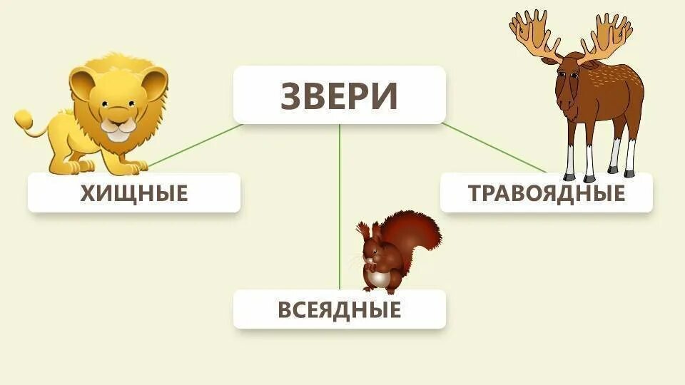 Травоядные и плотоядные. Хищники растительноядные всеядные животные. Хищники травоядные всеядные. Травоядные и плотоядные животные. Хищные и травоядные животные для детей.