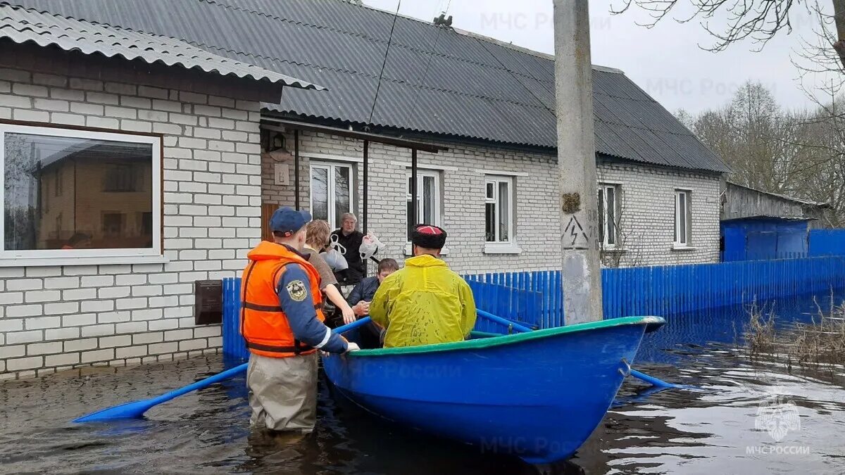 Паводок в брянске сегодня 2024. Паводок Брянск 2023. Подтопление МЧС. МЧС наводнение. Радица Крыловка паводок.