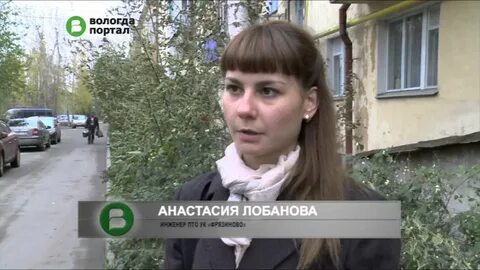 Сайт фрязиново вологда