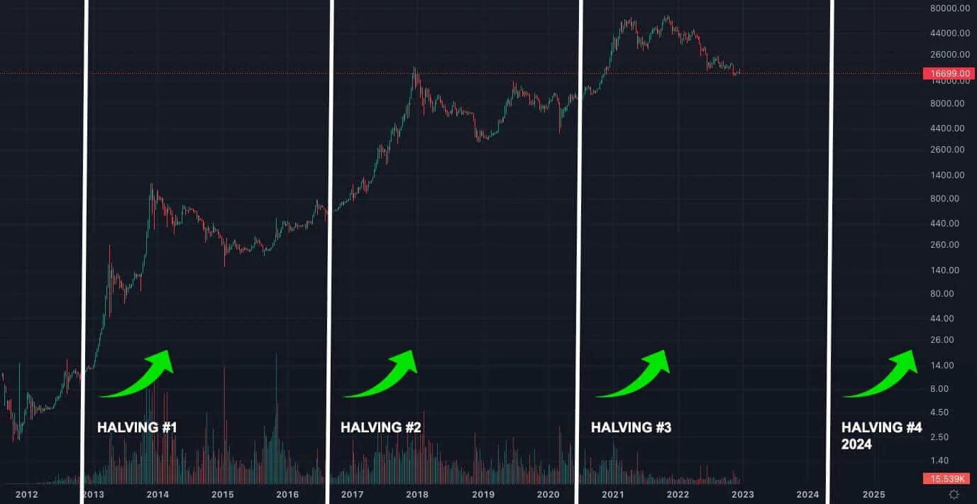 Что будет с биткоином после халвинга 2024. Графики BTC халвинг 2024. Халвинги биткоина график. Халвинг биткоина счетчик 2024. Халвинги биткоина по годам.