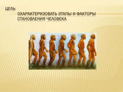 Охарактеризуйте наиболее вероятный путь происхождения человека