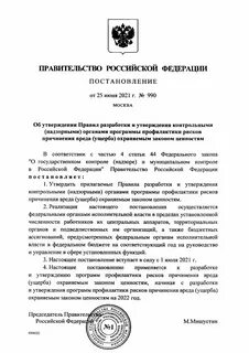 Постановление об утверждении программы профилактики рисков