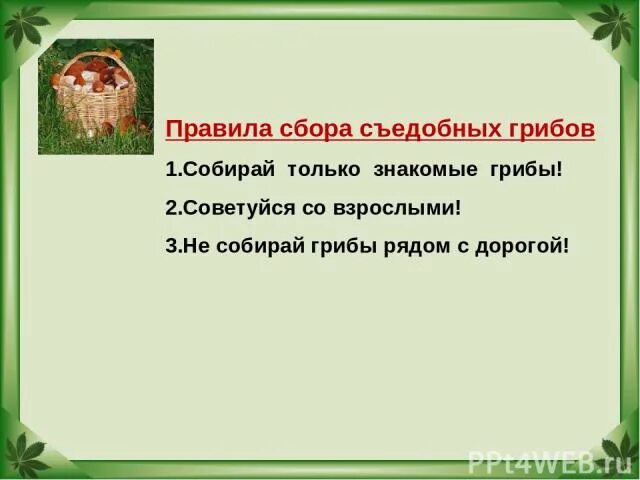 Лесные опасности грибы 2 класс. Лесные опасности окружающий мир. Лесные опасности окружающий мир второй класс. Проект по окружающему миру Лесные опасности.