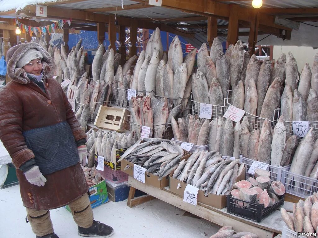 Купили на рынке рыбу. Торговля рыбой. Рыбыбный рынок на севере. Рынок на севере рыба. Рыбы Якутии.