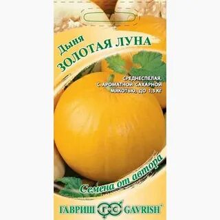 Дыня луна