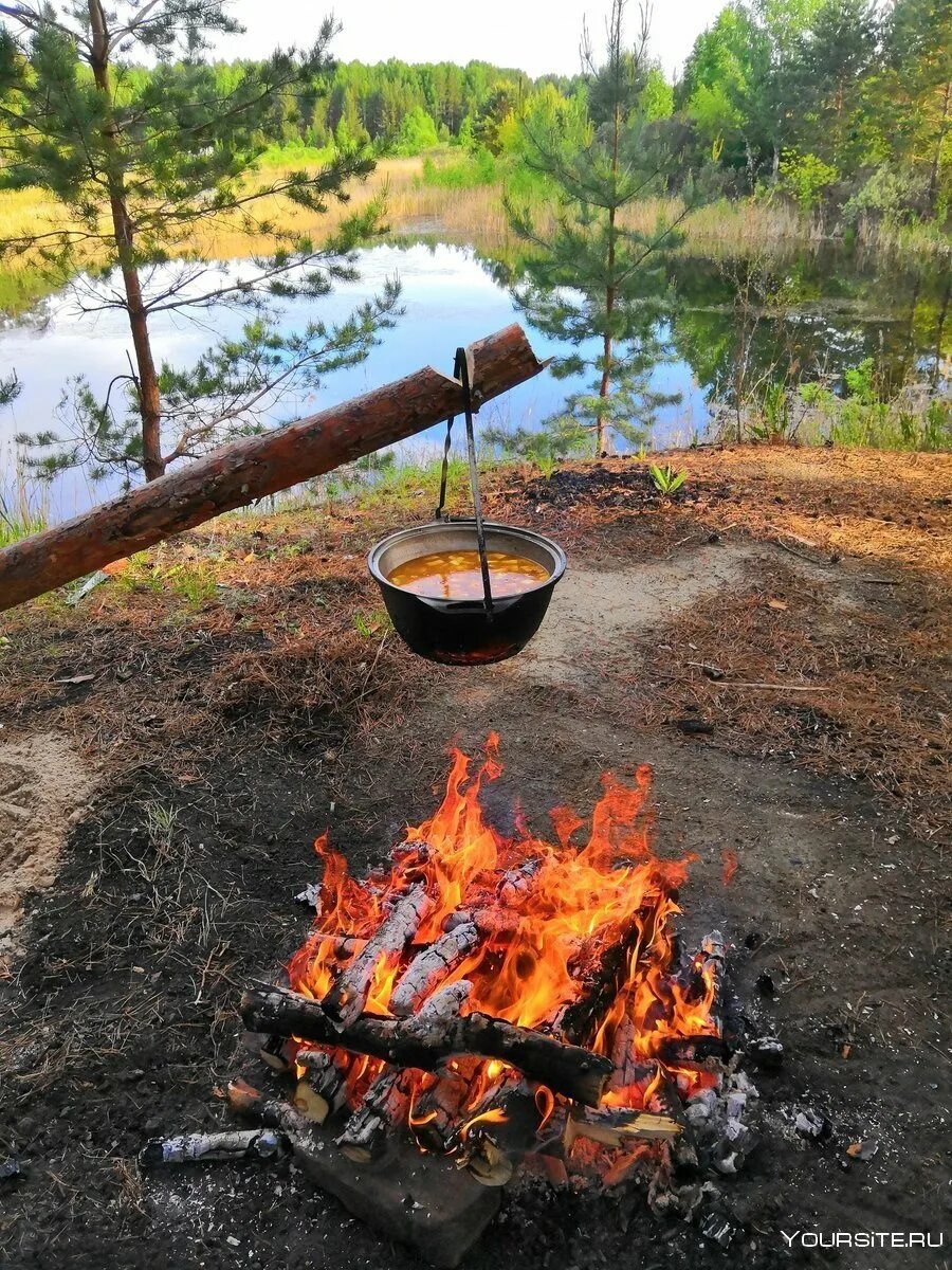 Можно ли шашлык в лесу. Шашлыки на природе. Шашлык на костре. Шашлык на костре в лесу. Пикник шашлык на природе.