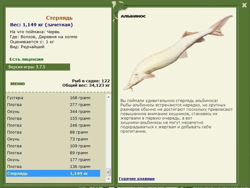 волхов русская рыбалка 3. 1 волхов золотая блесна судак. рр3 волхов сиг. русская рыбалка 3 1 ладога сиг волховский. рыбалка 3 волхов.