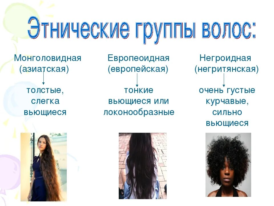 Типы волос. Характеристика типов волос. Разные типы волос. Разные структуры волос.