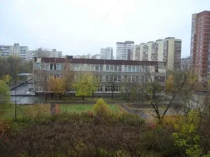 33 сш 44вд