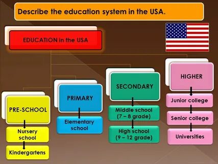 Education виды