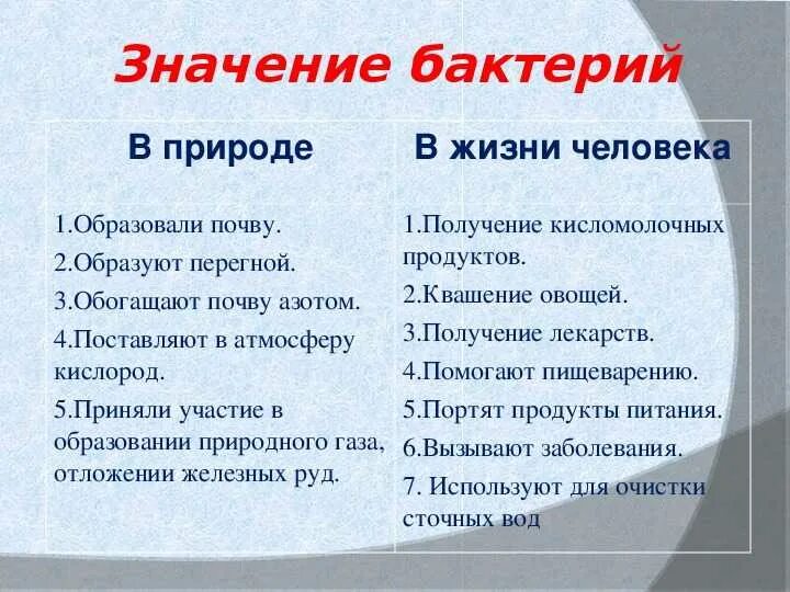 7 значение бактерий. Значение бактерий в природе и жизни человека 5. роль бактерий в природе и жизни человека 5 класс таблица. значение бактерий в природе и жизни человека кратко. бактерии в природе и жизни человека 5 класс таблица.
