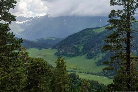 Самый большой биосферный заповедник