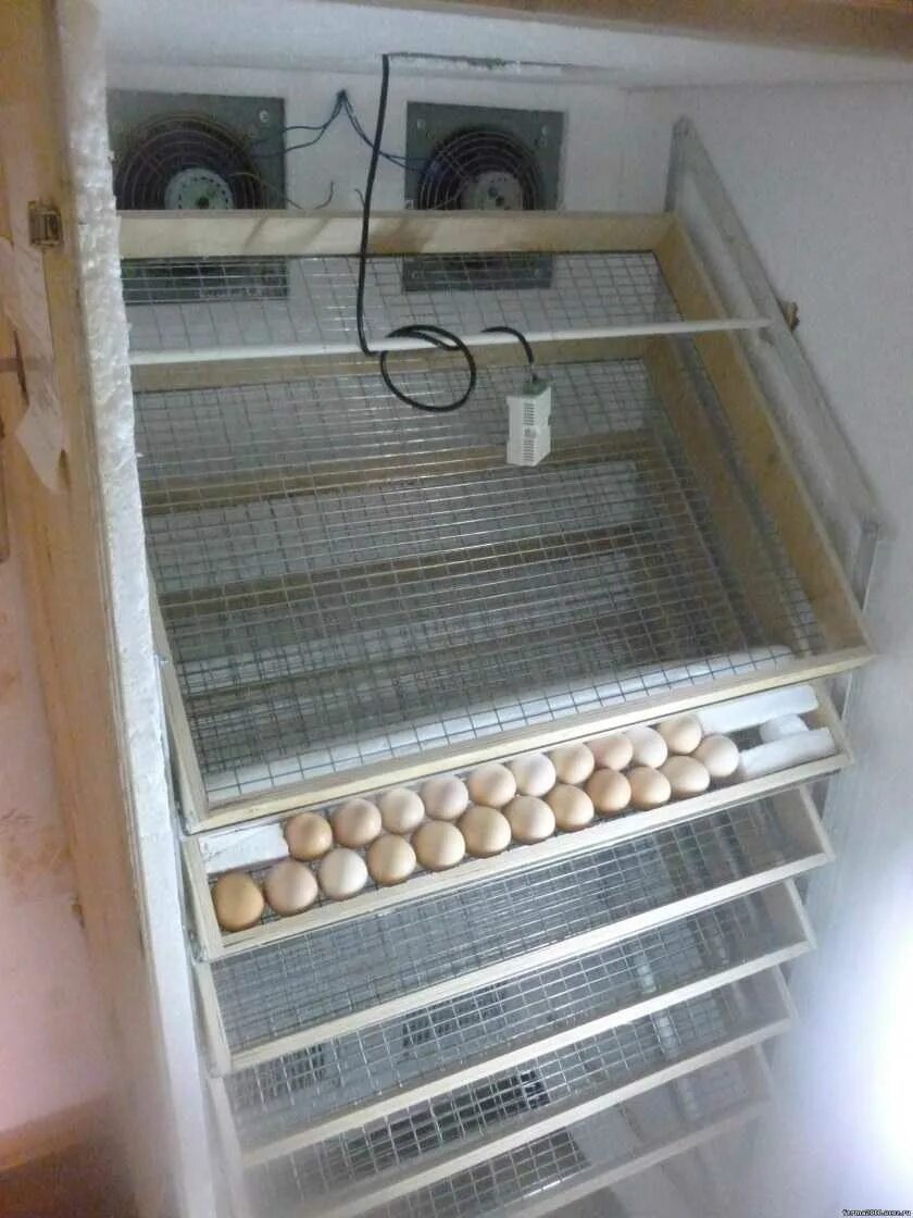 Автоматический переворот яиц в инкубаторе. Инкубатор kurczak автоматический 5000/. Инкубатор Несушка фермер 100. Инкубатор для яиц мс120. Инкубатор вертикального типа ИВТ-1.