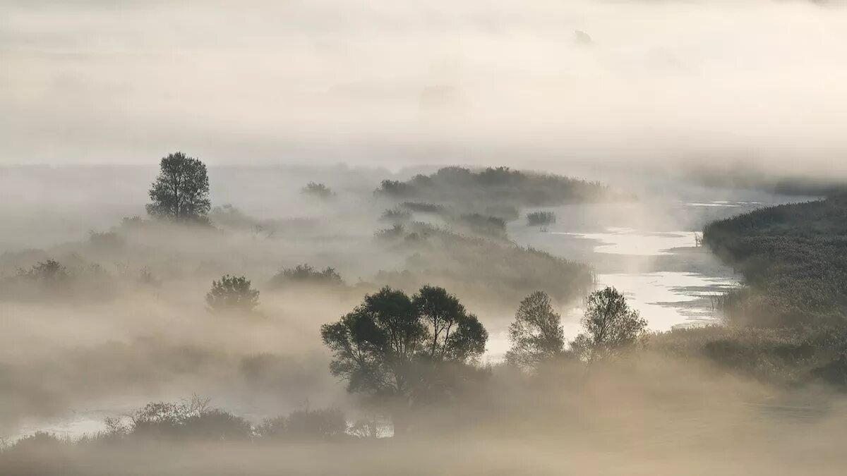 Туман туман густая пелена. Туман Камбоджа. Туманный пейзаж. Фотохудожники туман.