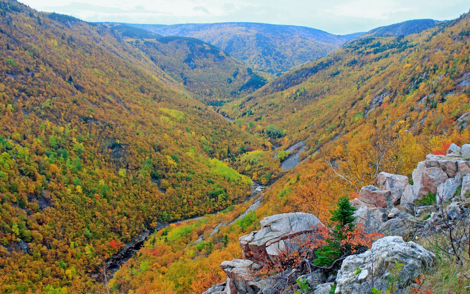 Овраг ущелье. Кукуйский каньон. Даниловский каньон саратов. Ущелье овраг. Овраг пейруле.