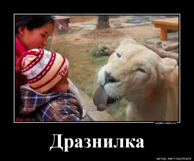 Смысл пословицы видит око да
