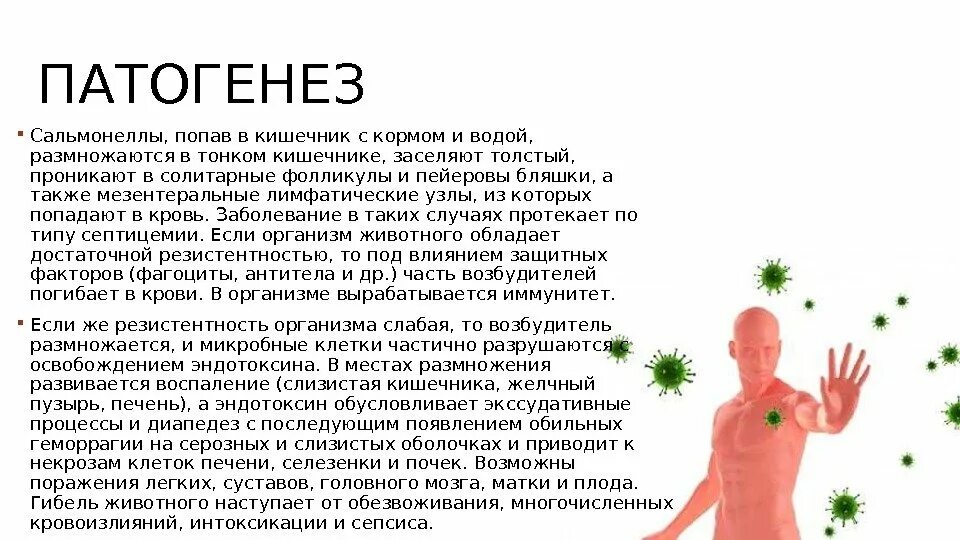 Патогенез сальмонеллеза. Патогенез сальмонелл. Сальмонеллез этиология. Сальмонеллез этиология патогенез. Как лечить сальмонеллез у взрослых