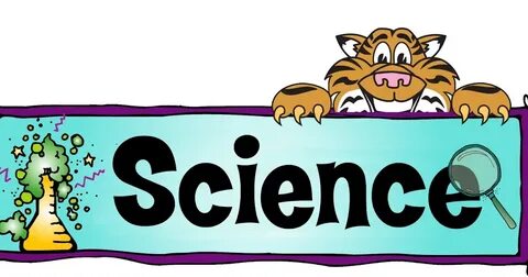 Слово science