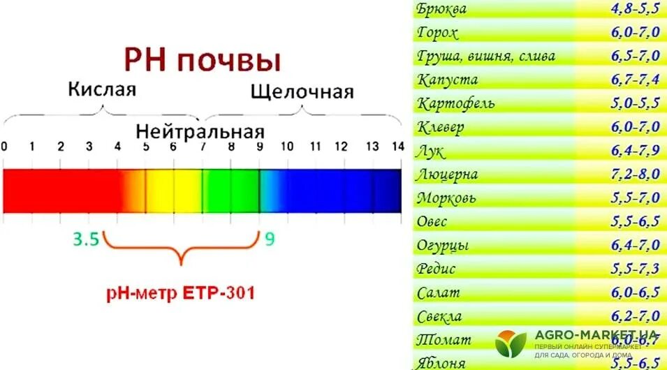 Кислотность почвы 7. Таблица пш кислотности для растений. рн 7.5 почвы кислотность. таблица пш кислотности почвы. таблица ph грунта для растений.