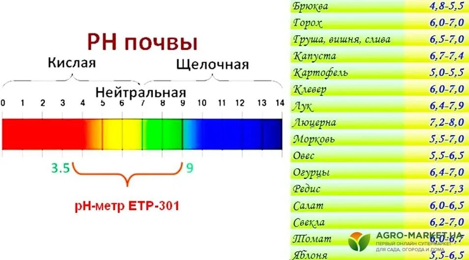 Кислотность почвы таблица PH. Уровень кислотности почвы таблица. Таблица РН кислотности почвы. Таблица ПШ кислотности для растений.