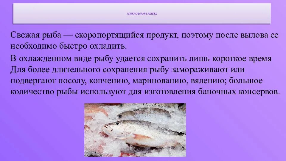 Качество мороженой рыбы. Характеристика охлажденной рыбы. Ассортимент охлажденной рыбы. Микробиология рыбных продуктов. Качество охлажденной рыбы.