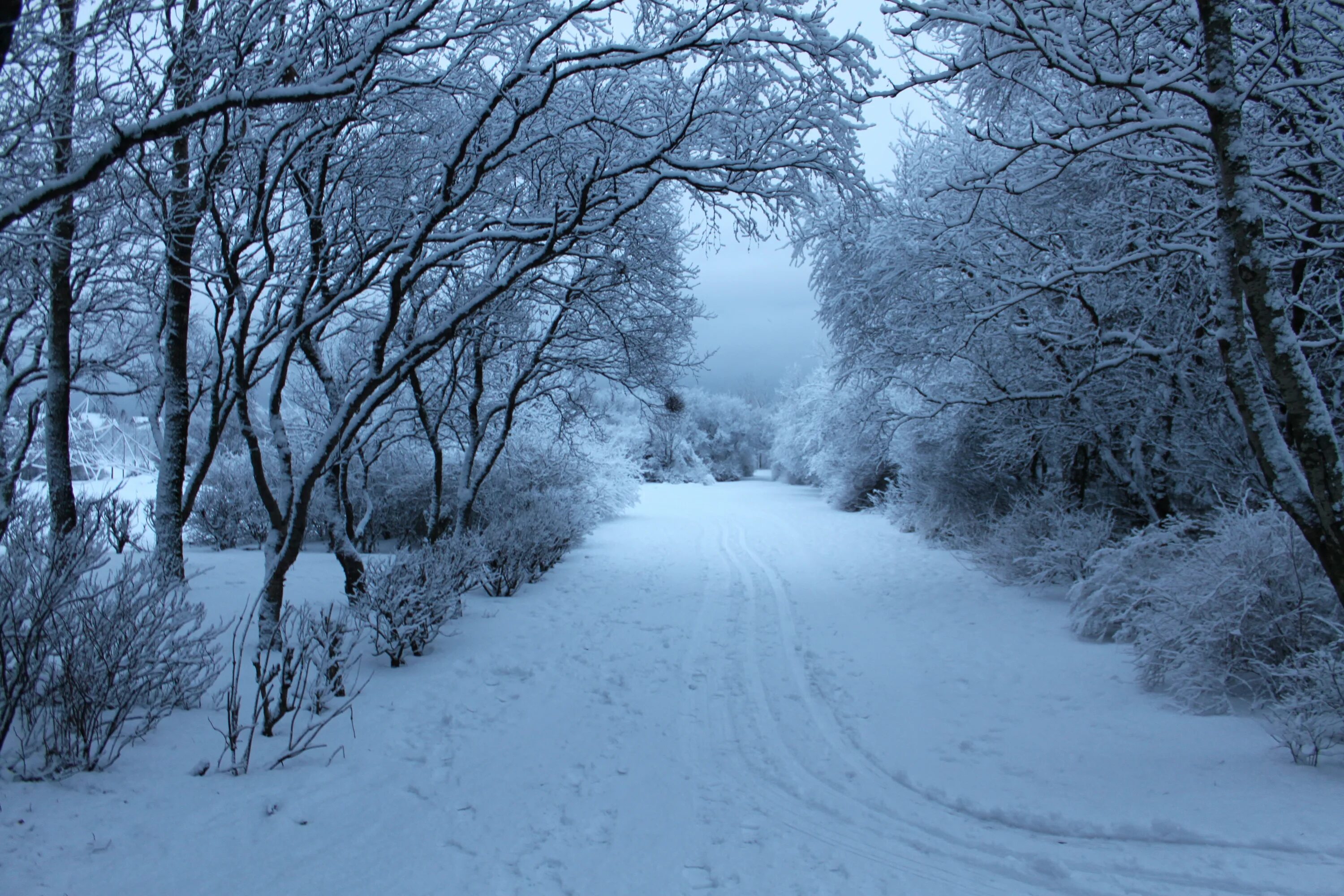 Cold and snowy. Снегопад это явление природы. Холодная зима. Холодная Снежная зима. Зимние явления снегопад.