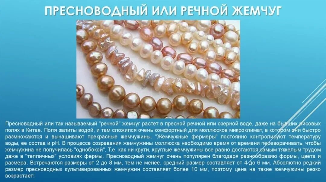 Почему жемчуг. Речной культивированный жемчуг. жемчуг презентация. темы для презентаций с жемчугом. морской культивированный жемчуг.