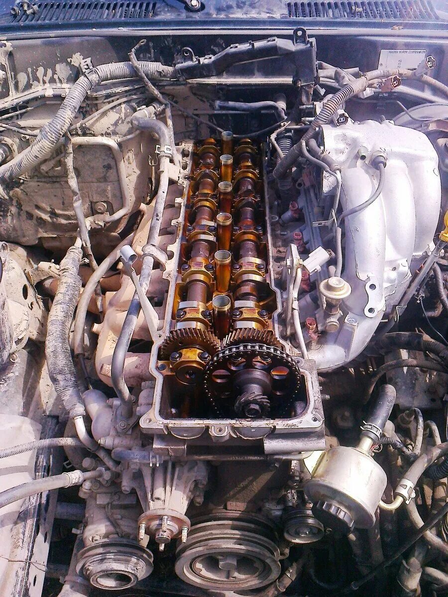 1fz fe. 1fz fe двигатель. 1fz fe land cruiser 80. 1fz fe. Двигатель ленд крузер 1fz.