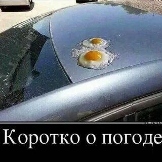 Смешные картинки Коротко о погоде 31 фото