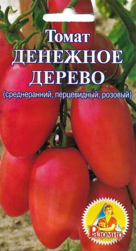 Томат денежное дерево. Семена помидор дерево. Томат денежный мешок. Денежный помидор. Денежный мешок томат описание