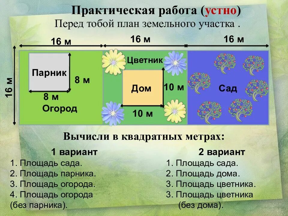 Найди площадь сада прямоугольной формы