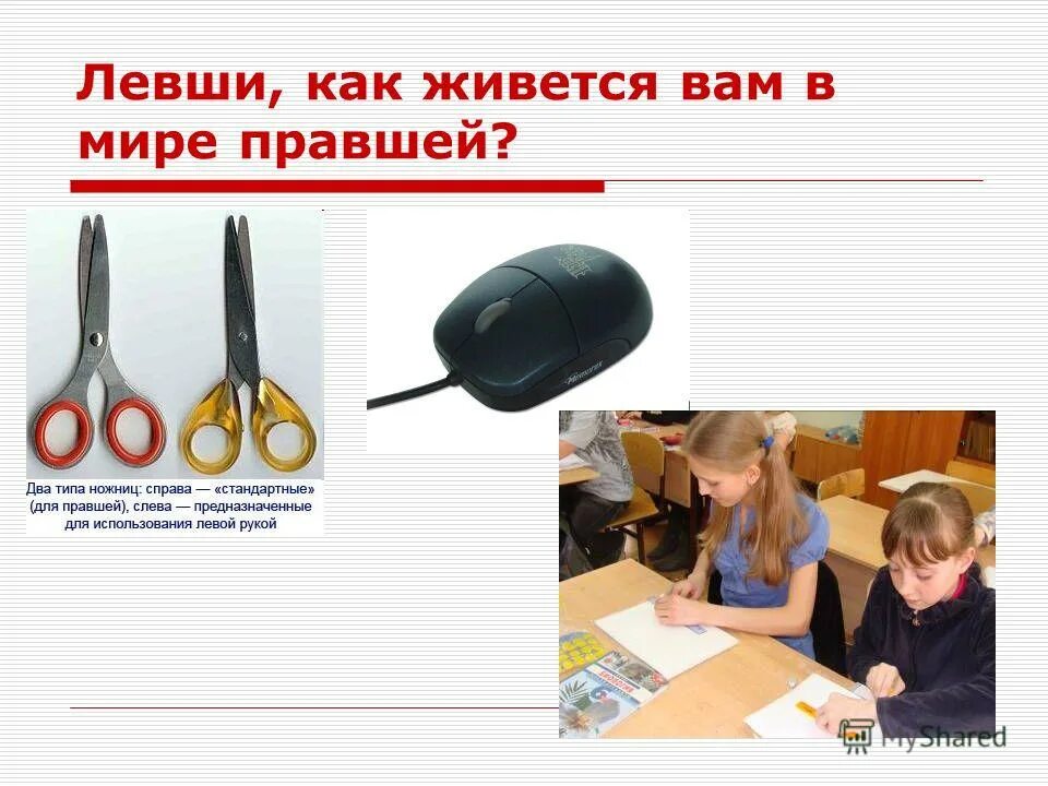 левшей в мире. проблемы левшей в современном мире. презентация проект левша. левша презентация. процентное соотношение левшей и правшей в мире.