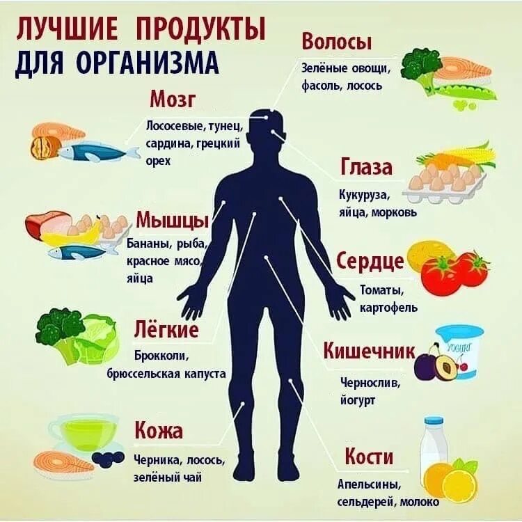 То что является полезным для человека. То что является полезным для человека. Овощи полезные для здоровья. Сыроедение. Углеводы сложные простые клетчатка.