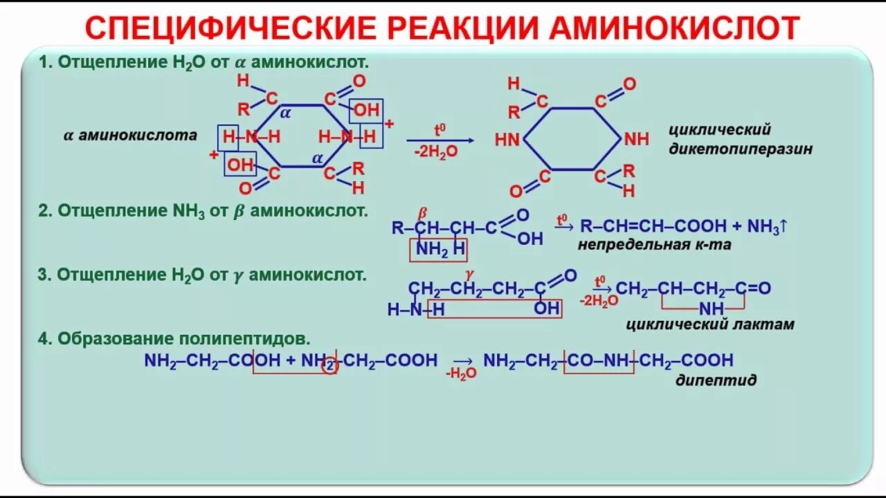 С чем реагируют амины. Специфические реакции Альфа- бета- и гамма-аминокислот. Аминокислоты таблица ЕГЭ химия. Специфическая реакция на Альфа аминокислоты. Химические свойства аминокислот ЕГЭ химия.