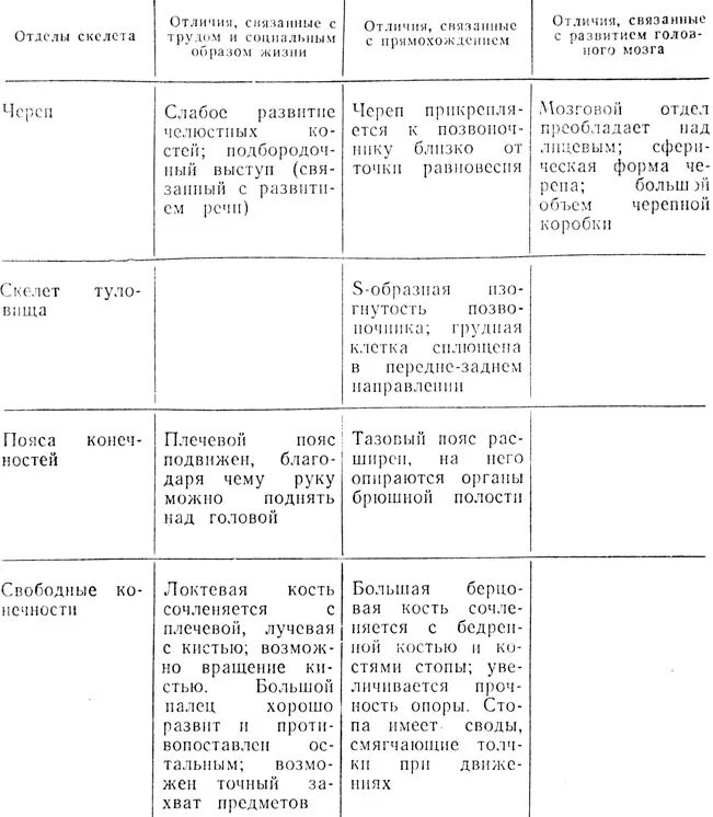 Строение скелета человека таблица 8 класс биология. Таблица по биологии 8 класс строение скелета. Таблица по биологии скелет человека и млекопитающих животных. Скелет человека таблица по биологии 8 класс.