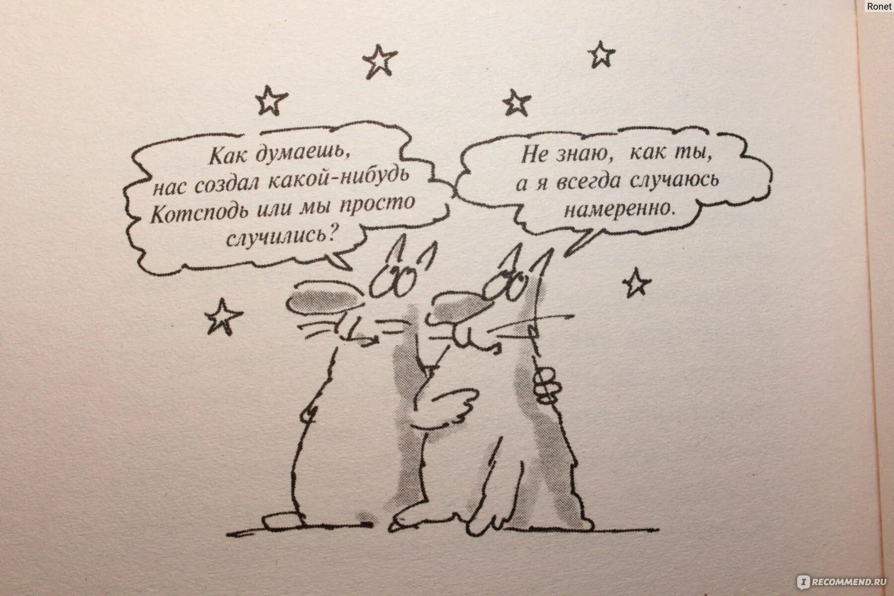 Пратчетт кот без прикрас обложка. Расскажу без прикрас это. Прикрас как пишется. Кот без дураков терри пратчетт книга. Кот без дураков книга книги терри пратчетта.