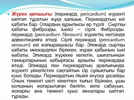 Рингтегі порно мультфильм