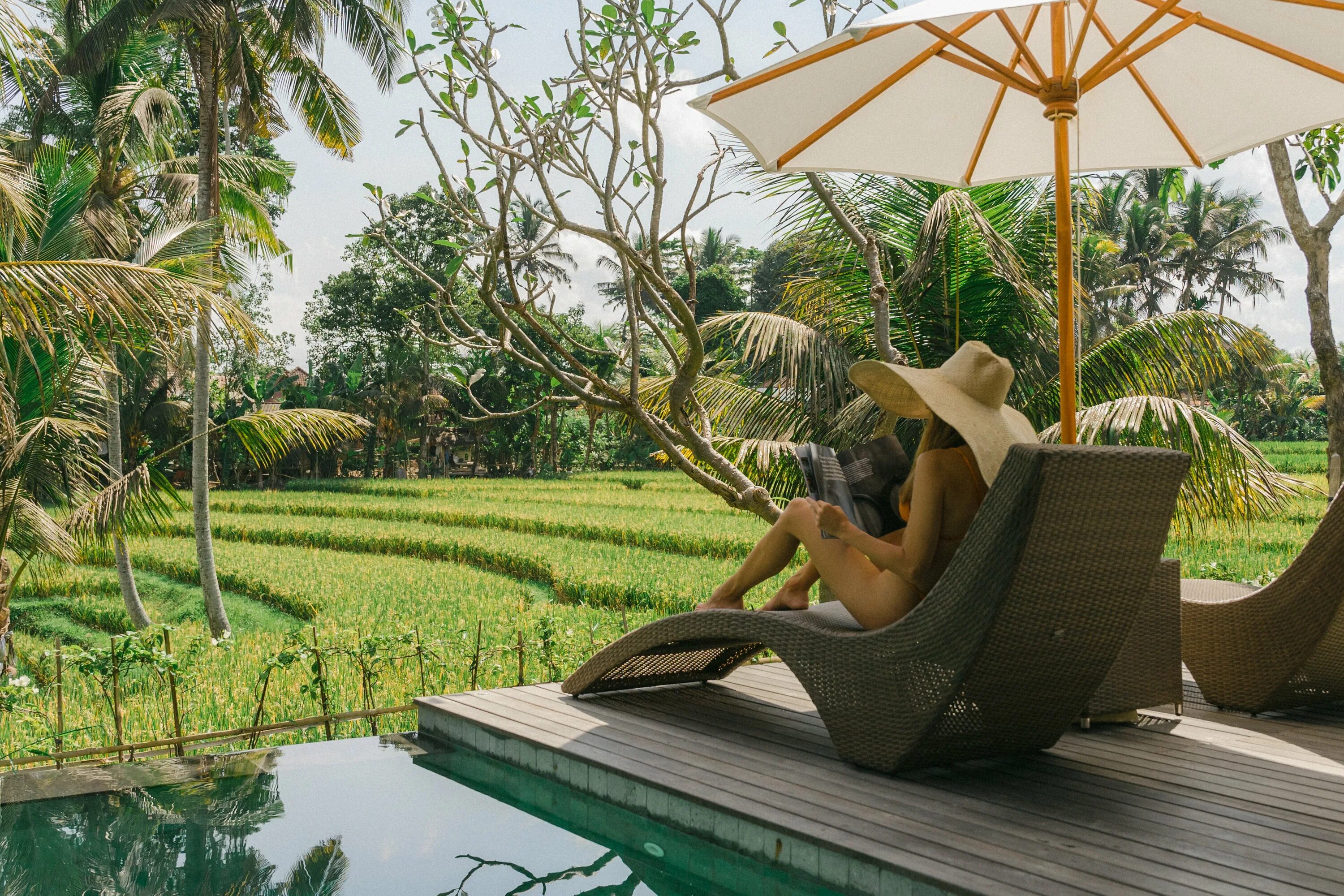 Kappa senses ubud. Kappa senses. Светлогорск ресторан риф. Kappa senses ubud. Kappa senses ubud 5.