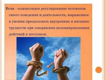 Воля это сознательное регулирование человеком