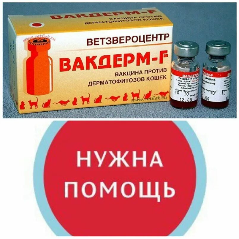 Вакдерм для кошек. Вакдерм f. вакдерн эф препарат для животных. вакцина вакдерм для крс.