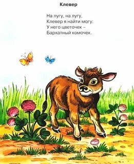 Стихотворение клевер