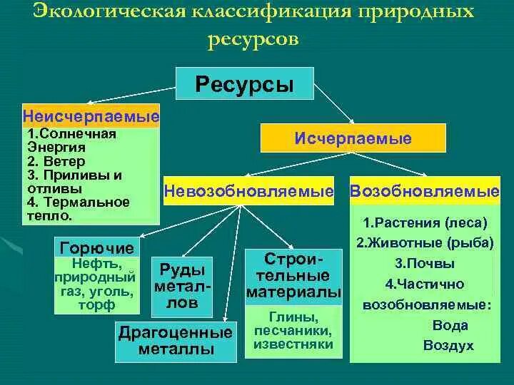 К экономическим ресурсам относятся