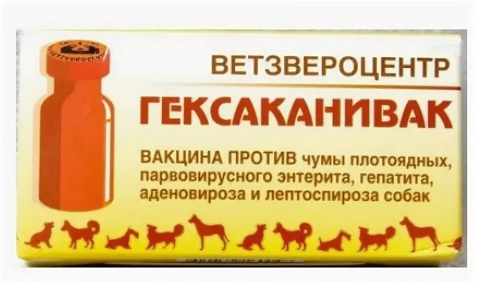 Вакцина для собак гексаканивак. Гексаканивак вакцина для собак. Гексаканивак аналог. Гексаканивак вакцина для собак фото. Гексаканивак вакцина для собак цена.
