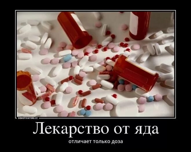 ядовитые лекарства. страшные таблетки. таблетка яд. яд в аптеке. таблетки яд.